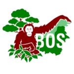 bos
