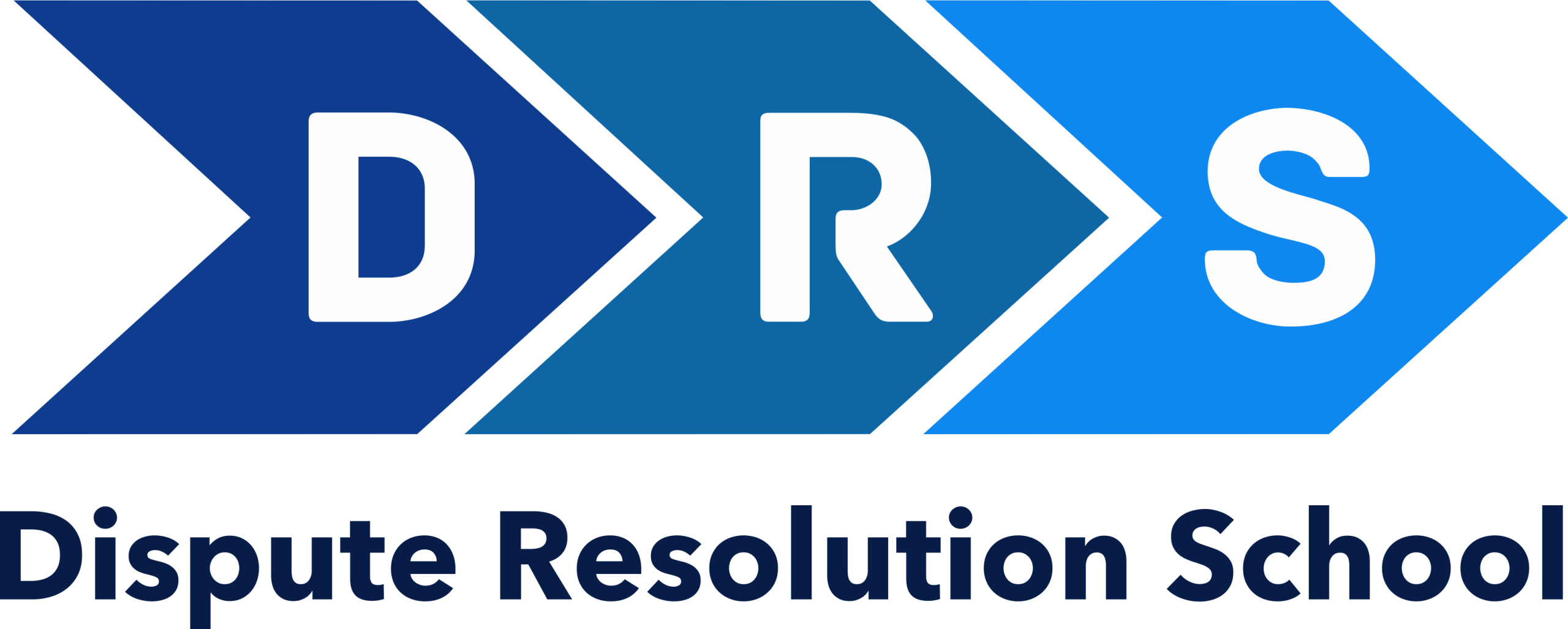 Logo DRS Puraka